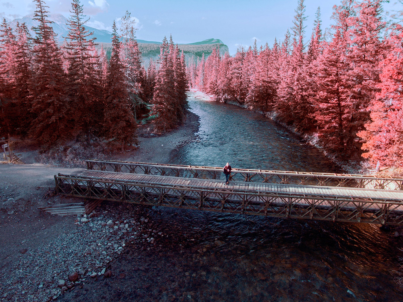 Stunning river scenery from within Jasper national park.