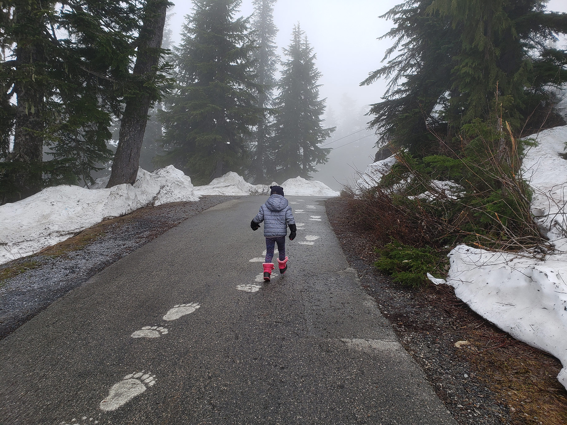 The path from the chalet to the Grouse Mountain bear habitat.